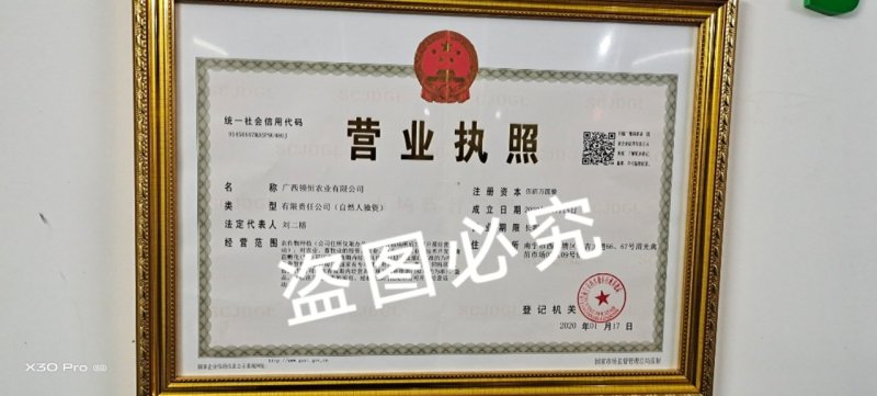 番鸭苗火鸭苗洋鸭苗【提供产、供、销一条龙服务】