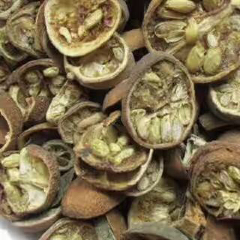 昌玉药材枸橘产地直销质量保证