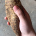 正宗黑皮野生牛大力，质量保证，规格好，量大从优