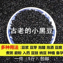 小黑豆古老小黑豆五谷杂粮小黑豆5斤装包邮