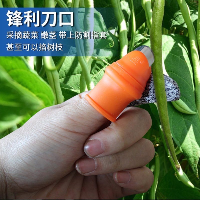 拇指刀(送防割指套)辣椒西红柿豆角掐尖采摘神器拇指套专用