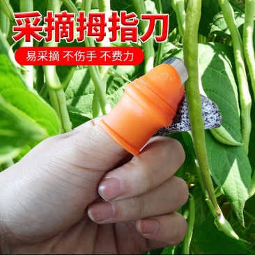 拇指刀(送防割指套)辣椒西红柿豆角掐尖采摘神器拇指套专用
