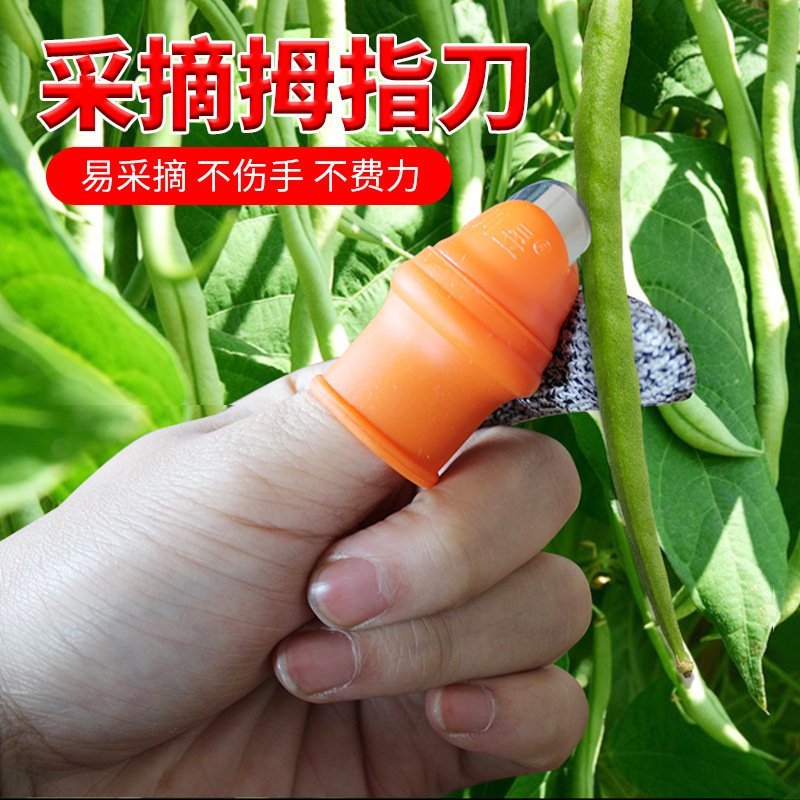 拇指刀(送防割指套)辣椒西红柿豆角掐尖采摘神器拇指套专用