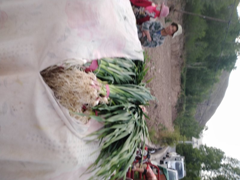 需要的联系