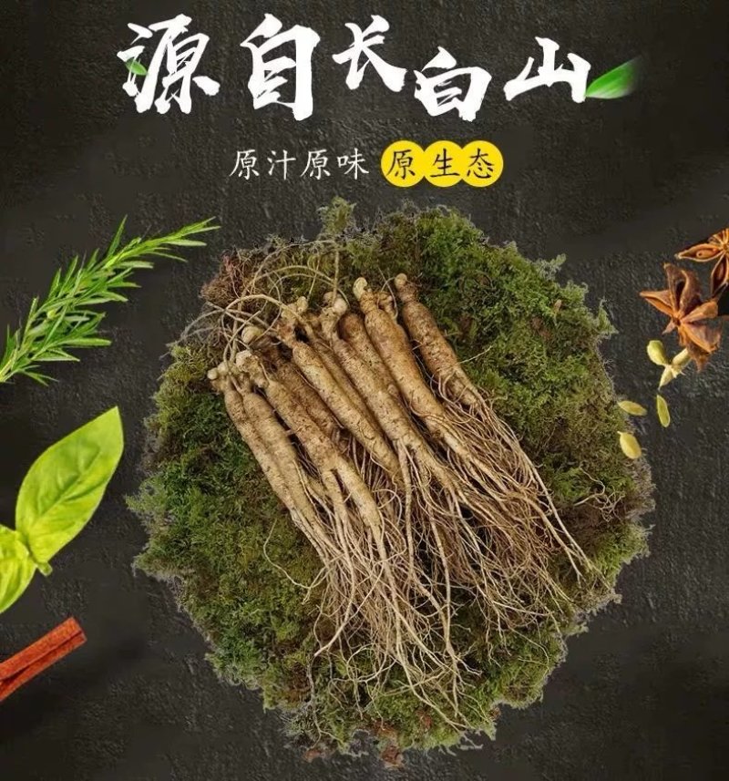 长白山鲜人参，现挖先发，量大优惠，支持一件代发