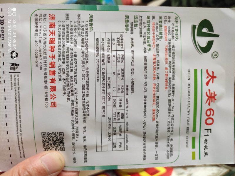 太美60松花菜种子中早熟净菜率高商品性好属高品质松花菜