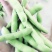 【精品】翠绿宝毛豆大毛豆支持冷库，量大优惠商超电商社区直供