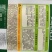 欧兰德川岛55松花菜种子极早熟花菜新品种花球大产量高