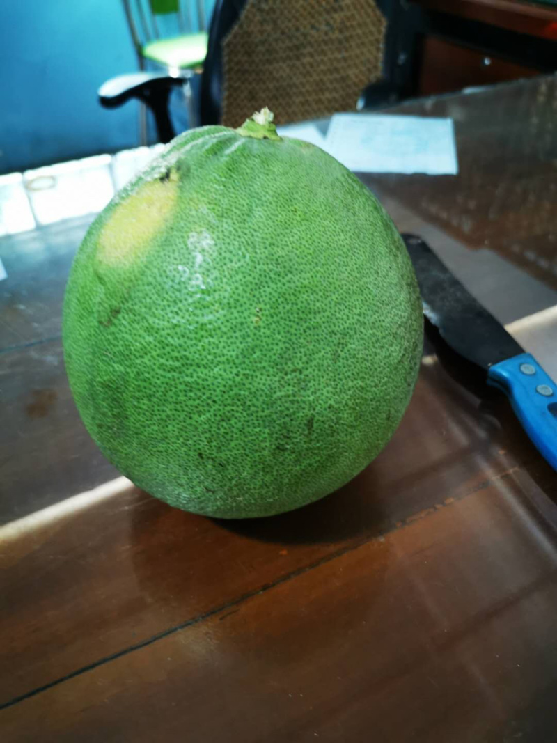 泰国青柚