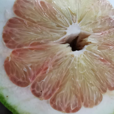 泰国青柚