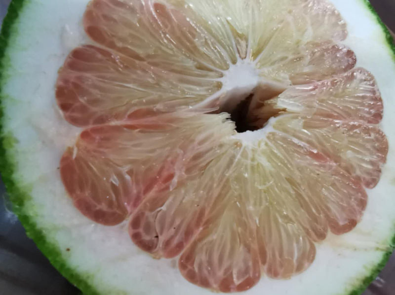 泰国青柚