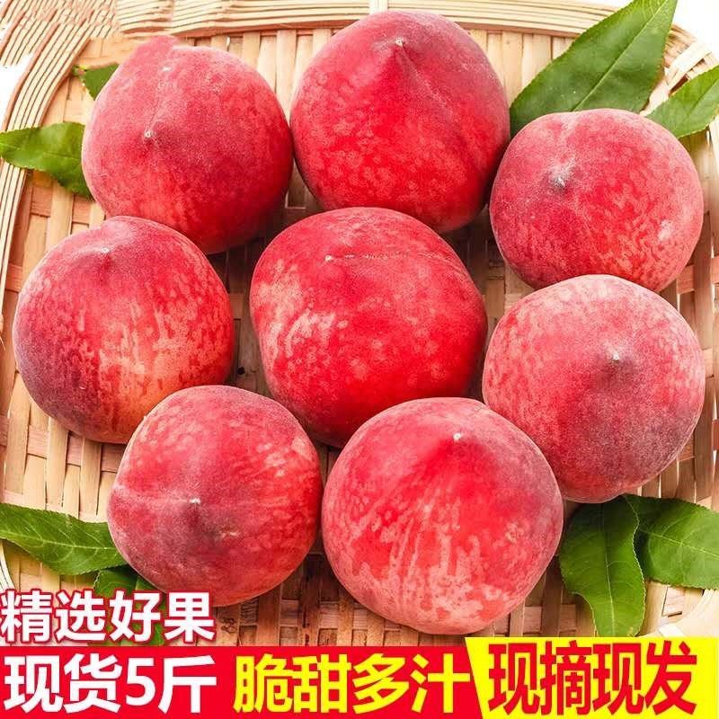 现摘新鲜水蜜桃毛桃甜软多汁包邮产地直发一件代发