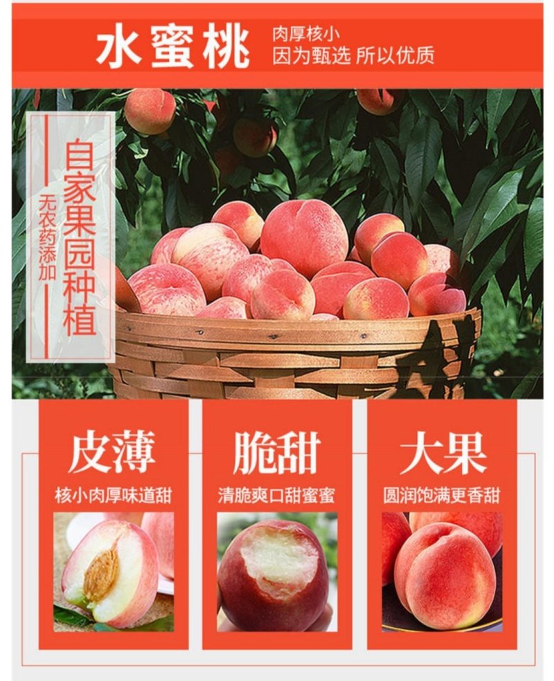 现摘新鲜水蜜桃毛桃甜软多汁包邮产地直发一件代发