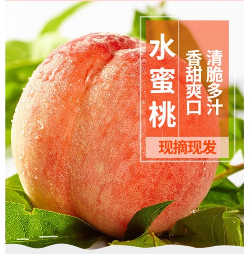 现摘新鲜水蜜桃毛桃甜软多汁包邮产地直发一件代发