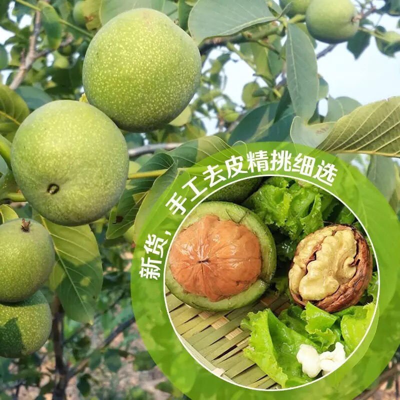 【一件代发】新鲜核桃去青皮核桃孕妇核桃6月30号前