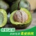 【一件代发】新鲜核桃去青皮核桃孕妇核桃6月30号前