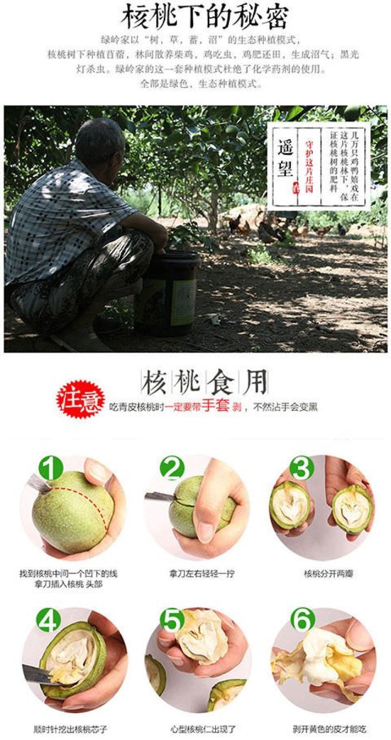 【一件代发】新鲜核桃去青皮核桃孕妇核桃6月30号前