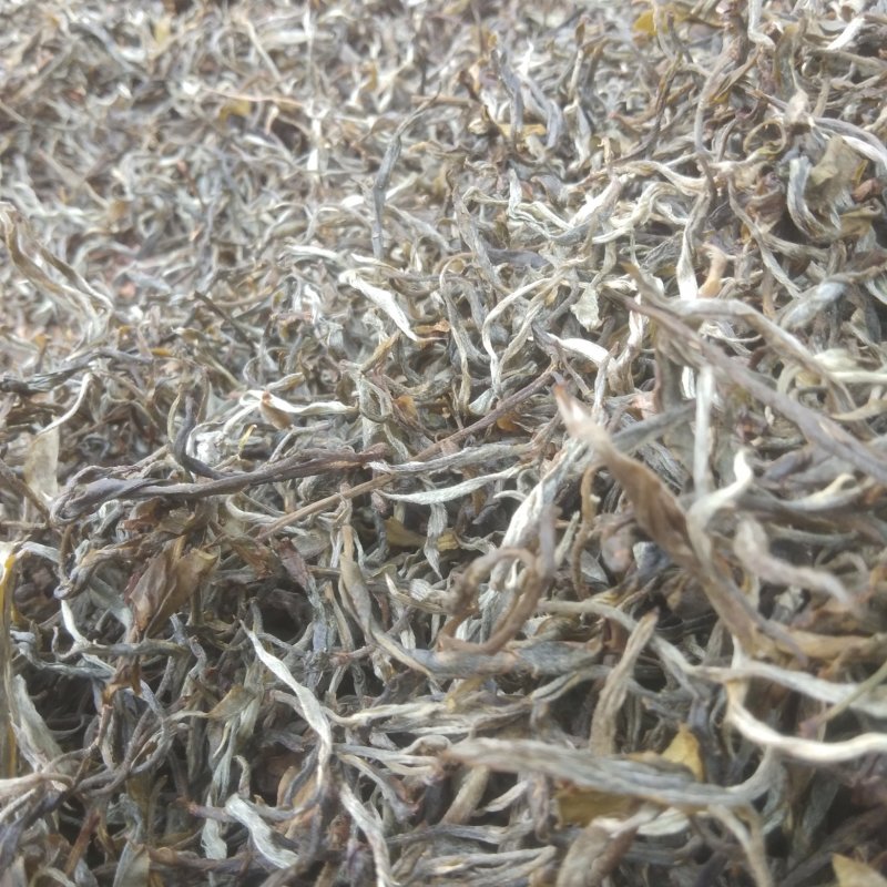 古生态小锅茶老树茶口感甘甜，生津止渴，原生态
