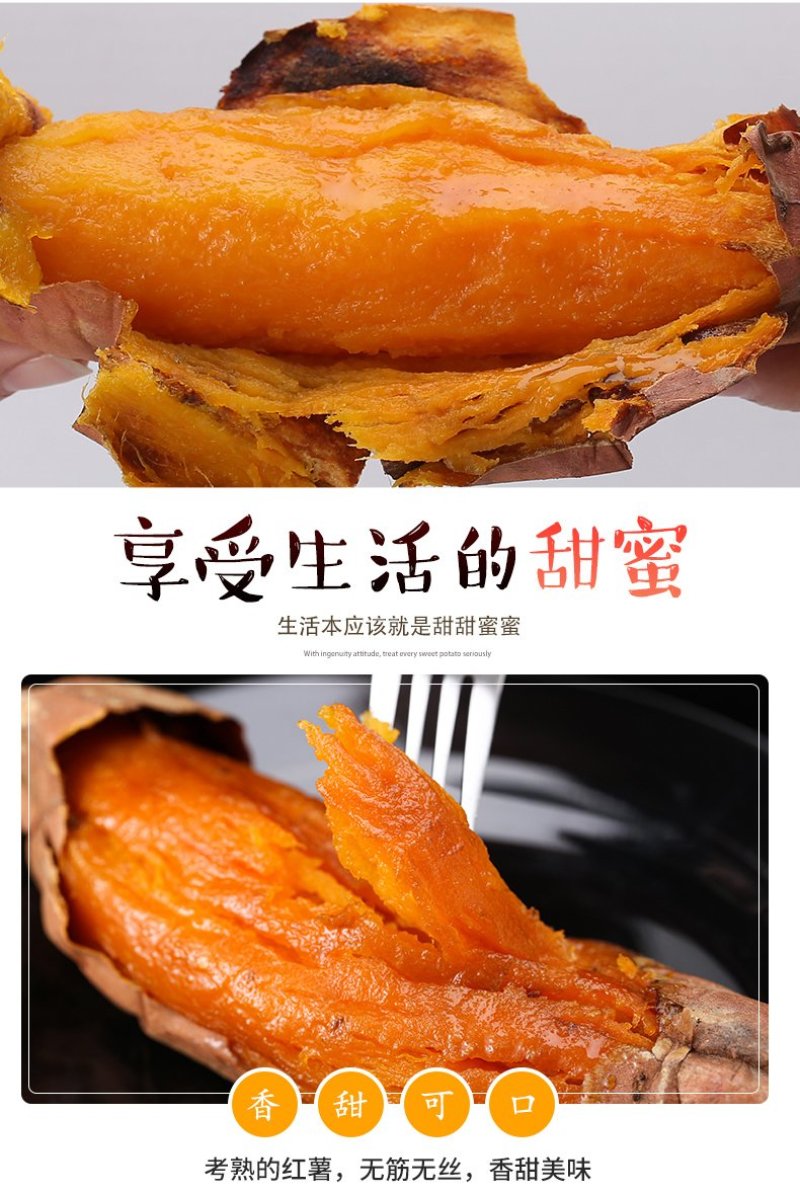 山东蜜薯烟薯25烤地瓜红心番薯【一件代发】