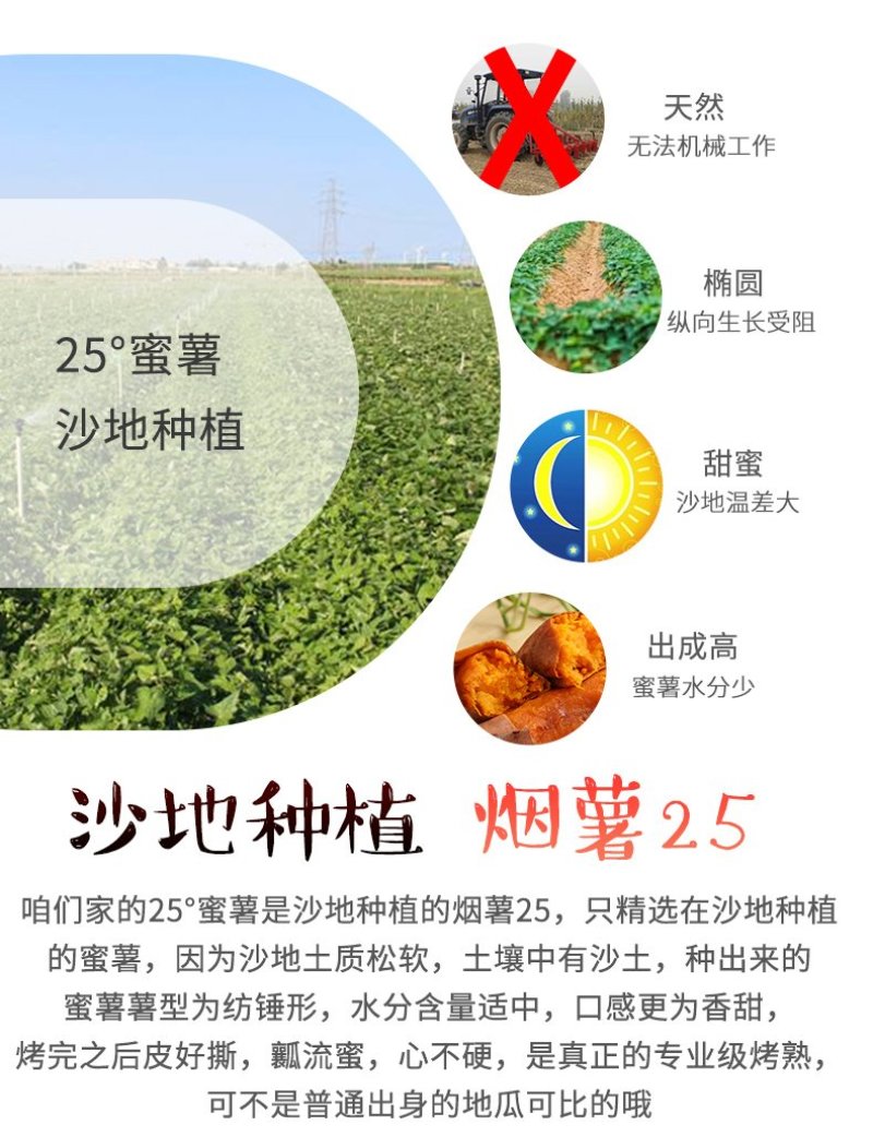 山东蜜薯烟薯25烤地瓜红心番薯【一件代发】
