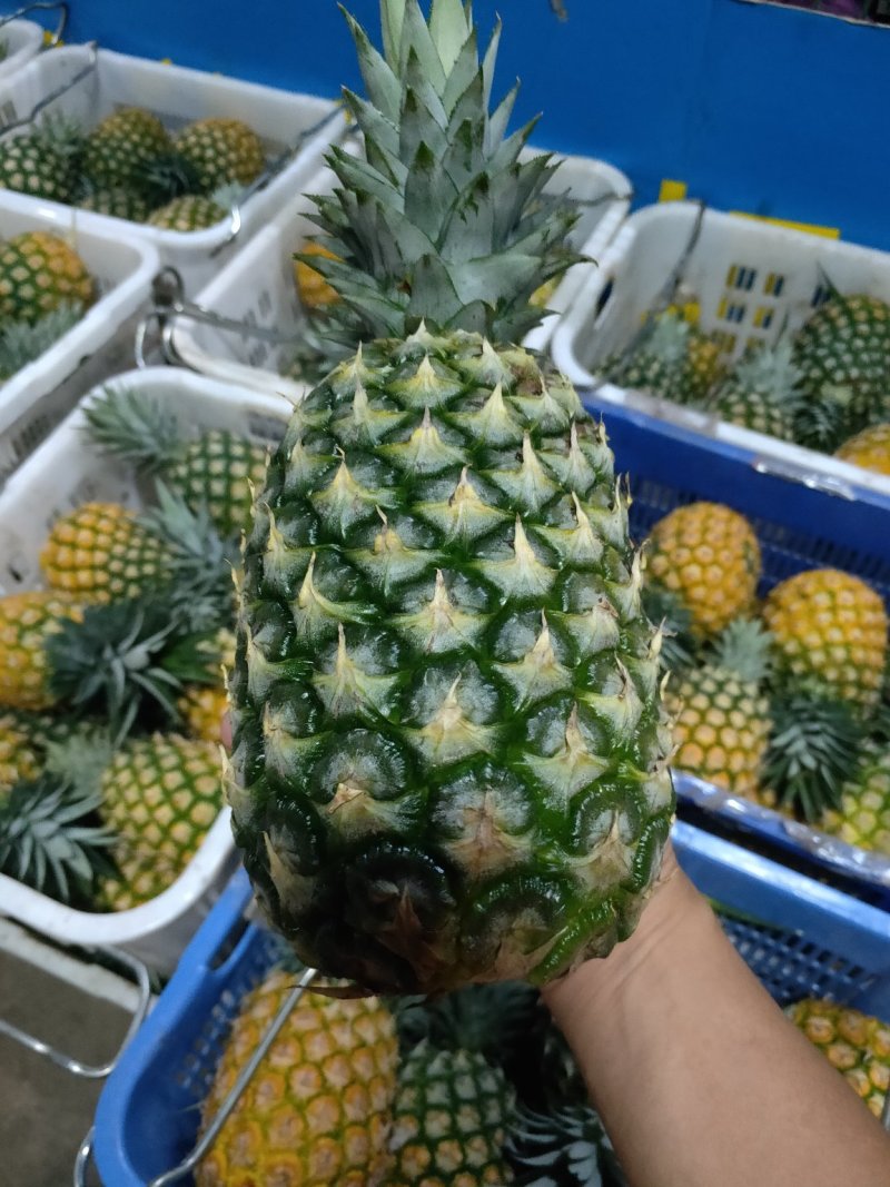 海南黄金凤梨/航空落地配/物流
