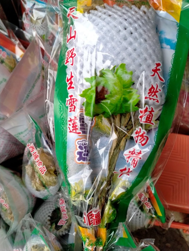 野生天山雪莲一技花！规格齐全！产地直销价格优