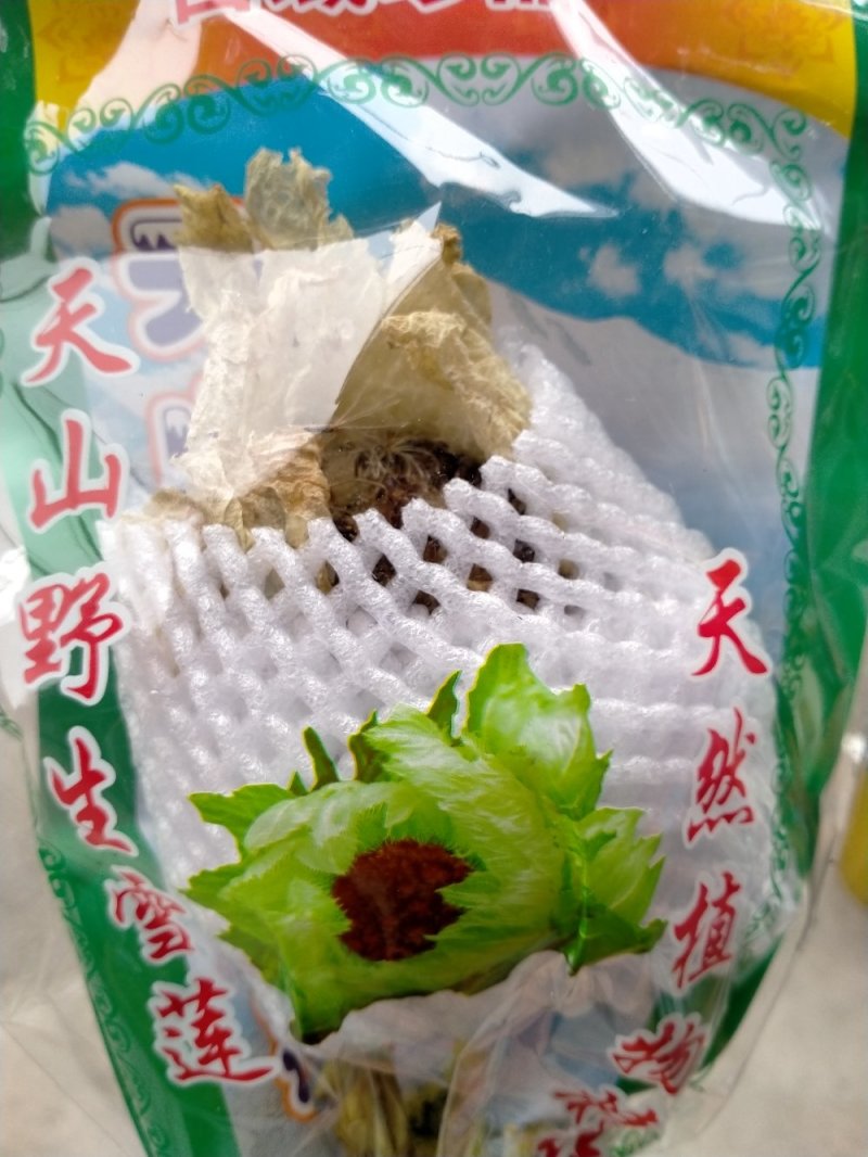 野生天山雪莲一技花！规格齐全！产地直销价格优