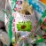 野生天山雪莲一技花！规格齐全！产地直销价格优