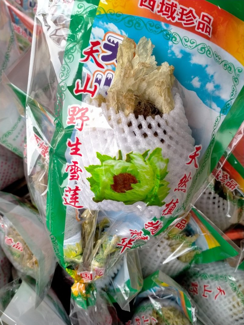野生天山雪莲一技花！规格齐全！产地直销价格优