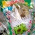 野生天山雪莲一技花！规格齐全！产地直销价格优