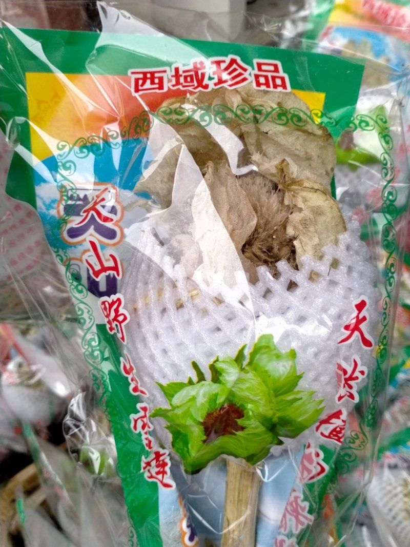 野生天山雪莲一技花！规格齐全！产地直销价格优
