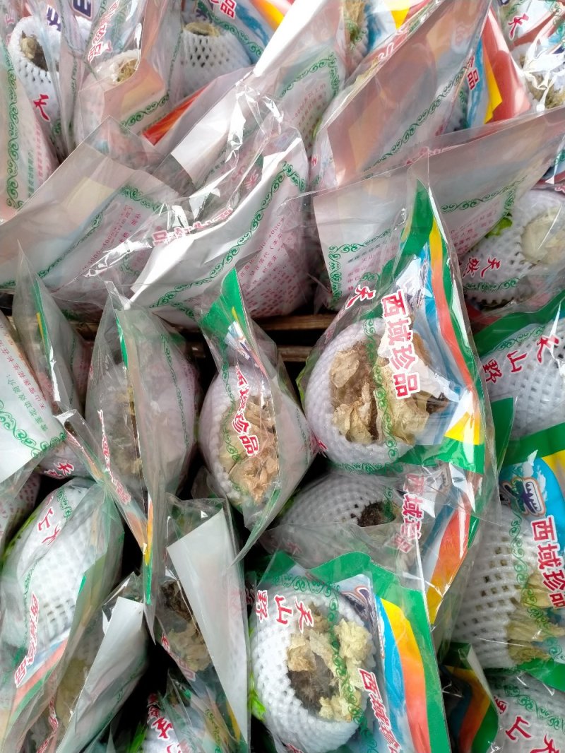 野生天山雪莲一技花！规格齐全！产地直销价格优