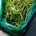 各种早期，中期，晚期精品黄花菜，精品菜，通货都有。