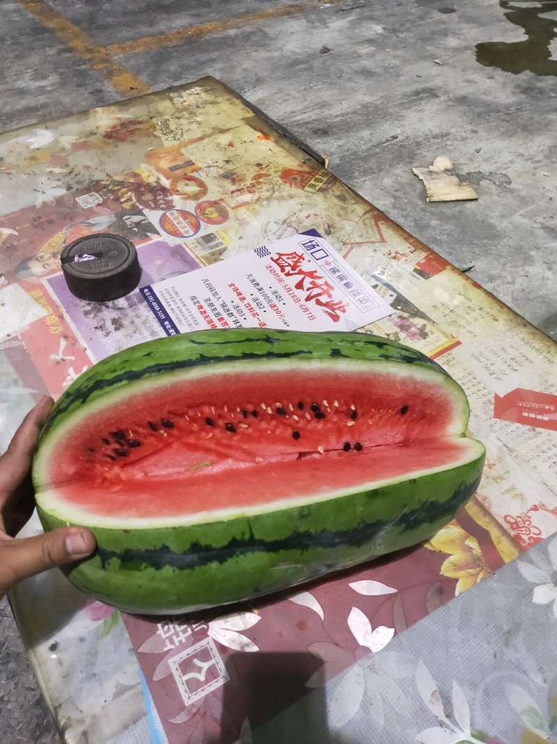 西瓜