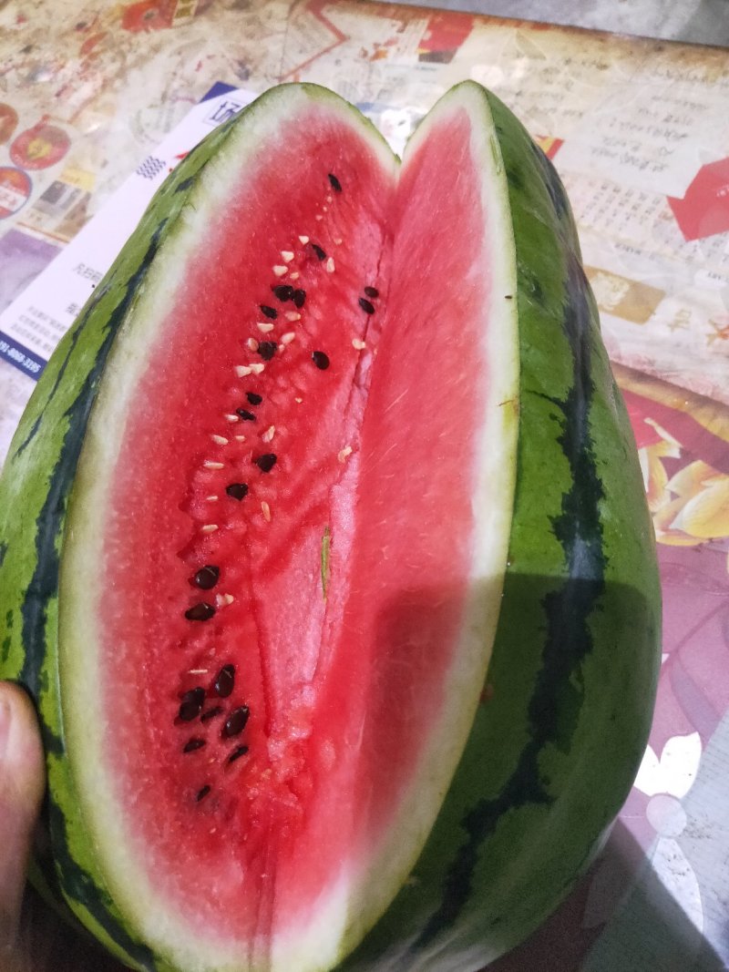 西瓜