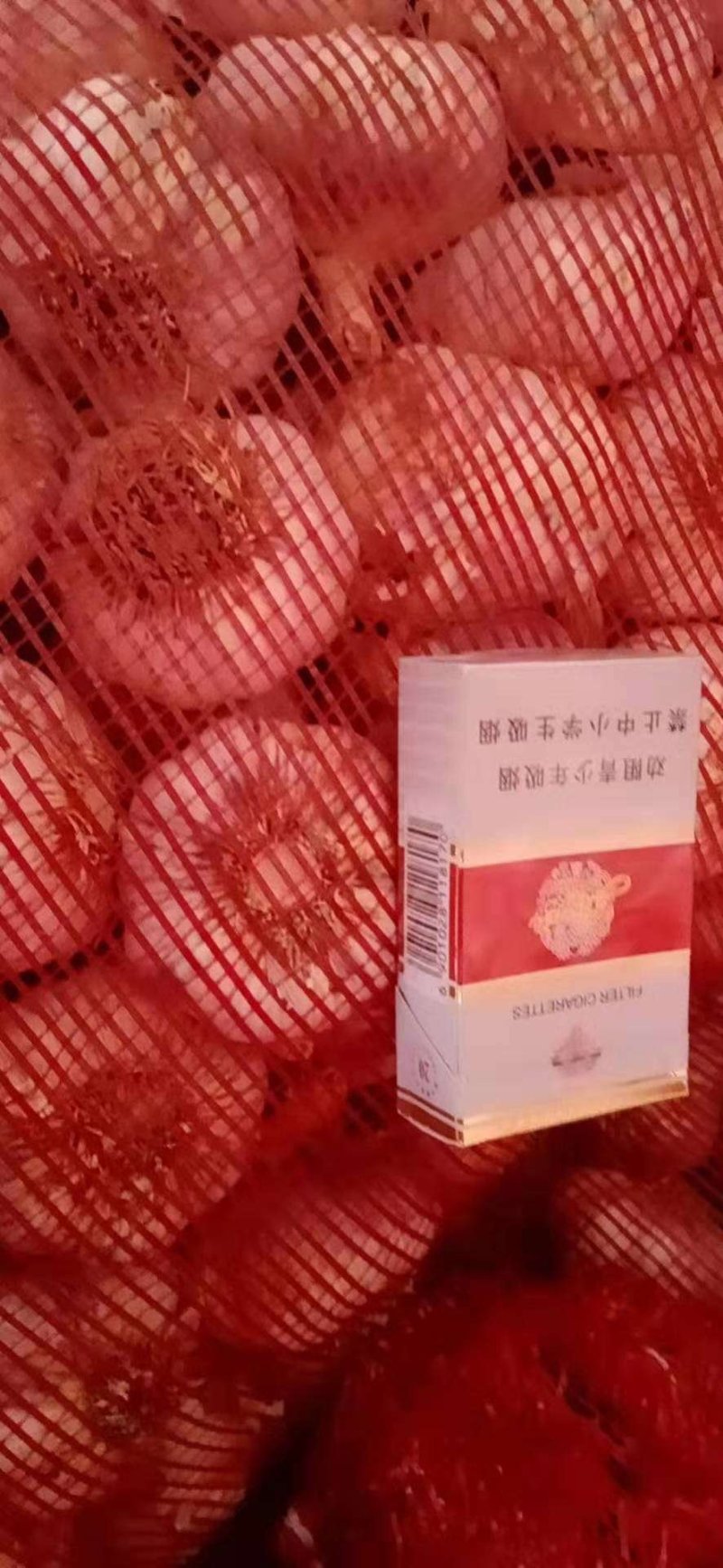 紫皮大蒜〔新鲜上市〕品质好价格公道【商超品质】代发全国