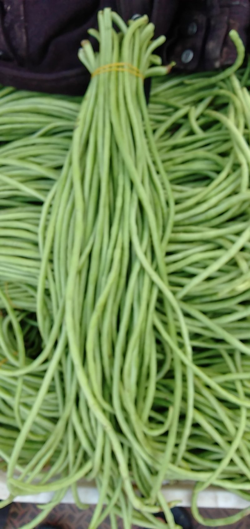 长豆角大量现货价格丛优