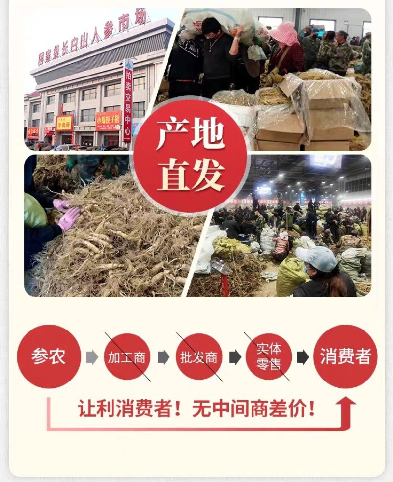 【有好货】西洋参硬枝粒头足干无硫原产地批发量大优惠