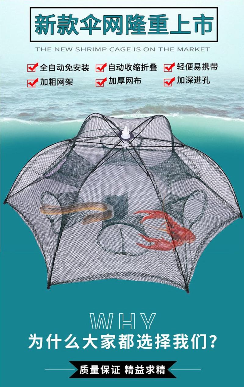 渔网虾笼伞笼伞网4洞6洞8洞自动折叠捕鱼笼