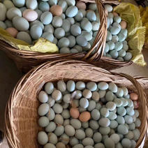 土鸡蛋，绿壳蛋，