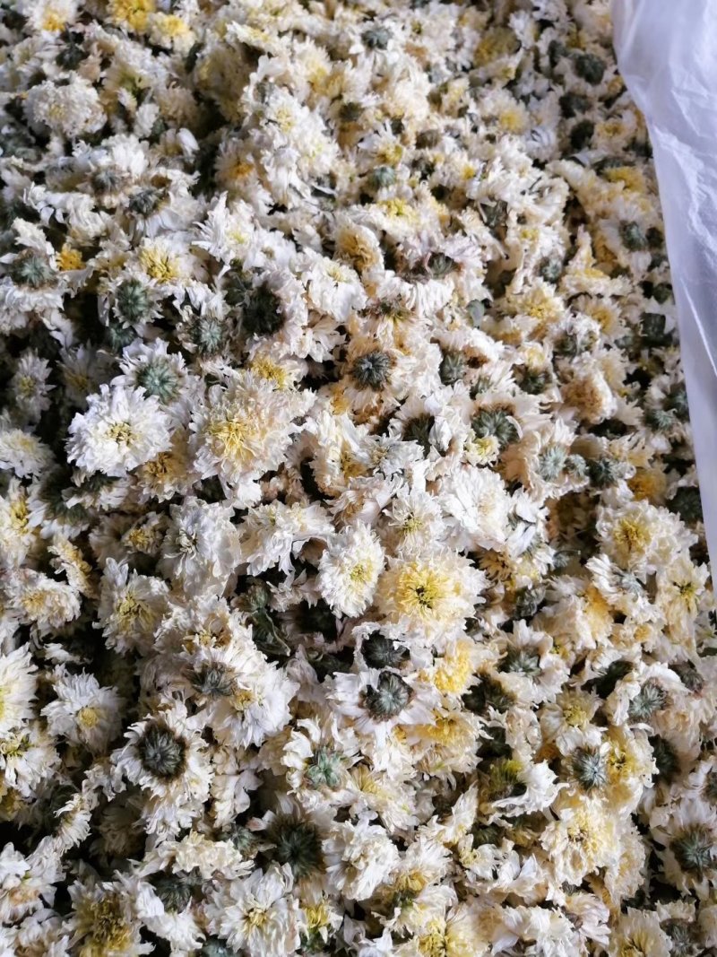 菊花.白芍.丹参
