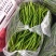 精品线椒20-30公分
