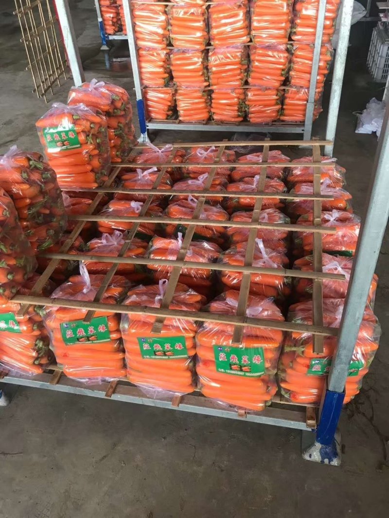 胡萝卜品种三红胡萝卜条形漂亮10吨起