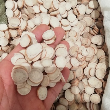 出口精品白芍2斤起批包邮量大电议欢迎咨询各种中药材