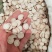 出口精品白芍2斤起批包邮量大电议欢迎咨询各种中药材