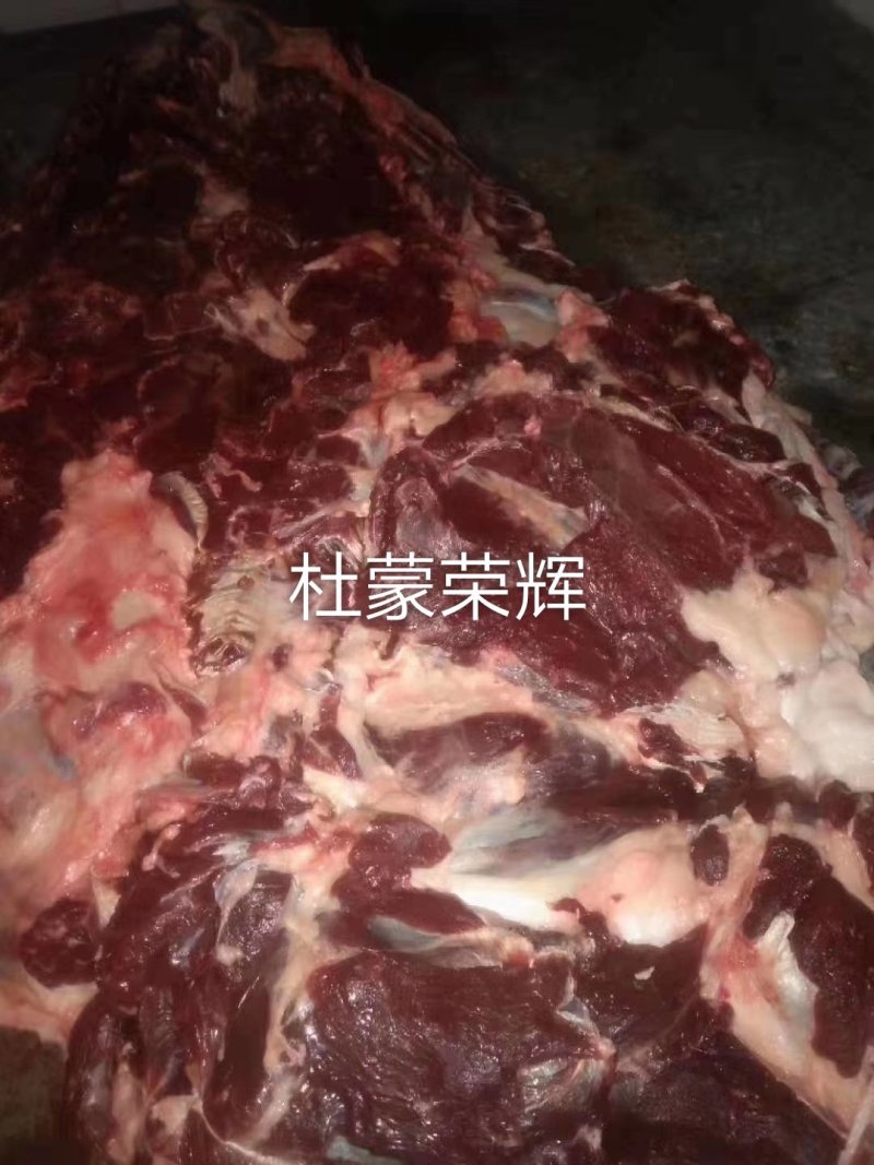 精品驴肉前后腿带腱子冷鲜速冻