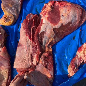 精品驴肉前后腿带腱子冷鲜速冻
