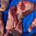 精品驴肉前后腿带腱子冷鲜速冻