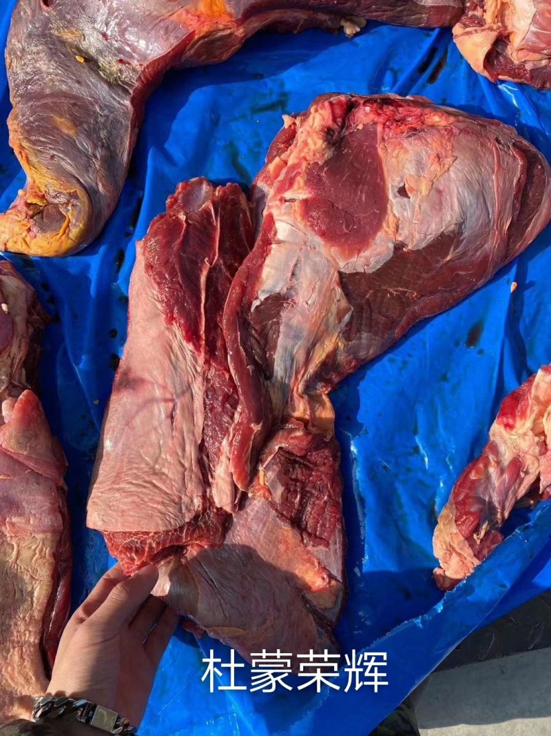 精品驴肉前后腿带腱子冷鲜速冻
