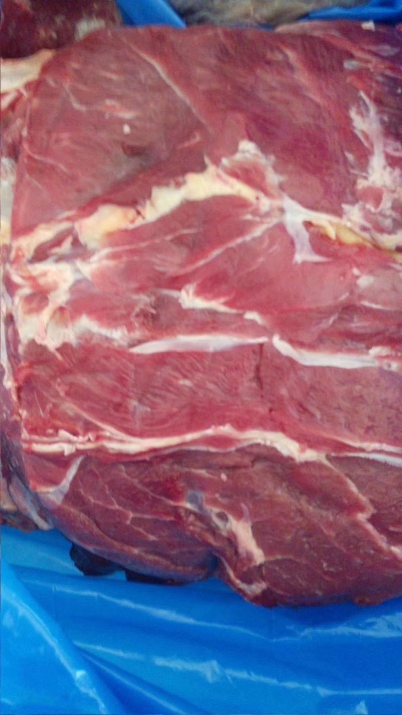精品驴肉前后腿带腱子冷鲜速冻